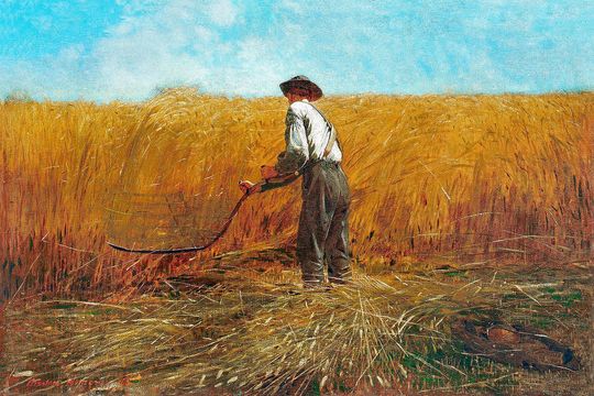 Tranh Canvas Phong Cảnh The Veteran In A New Field