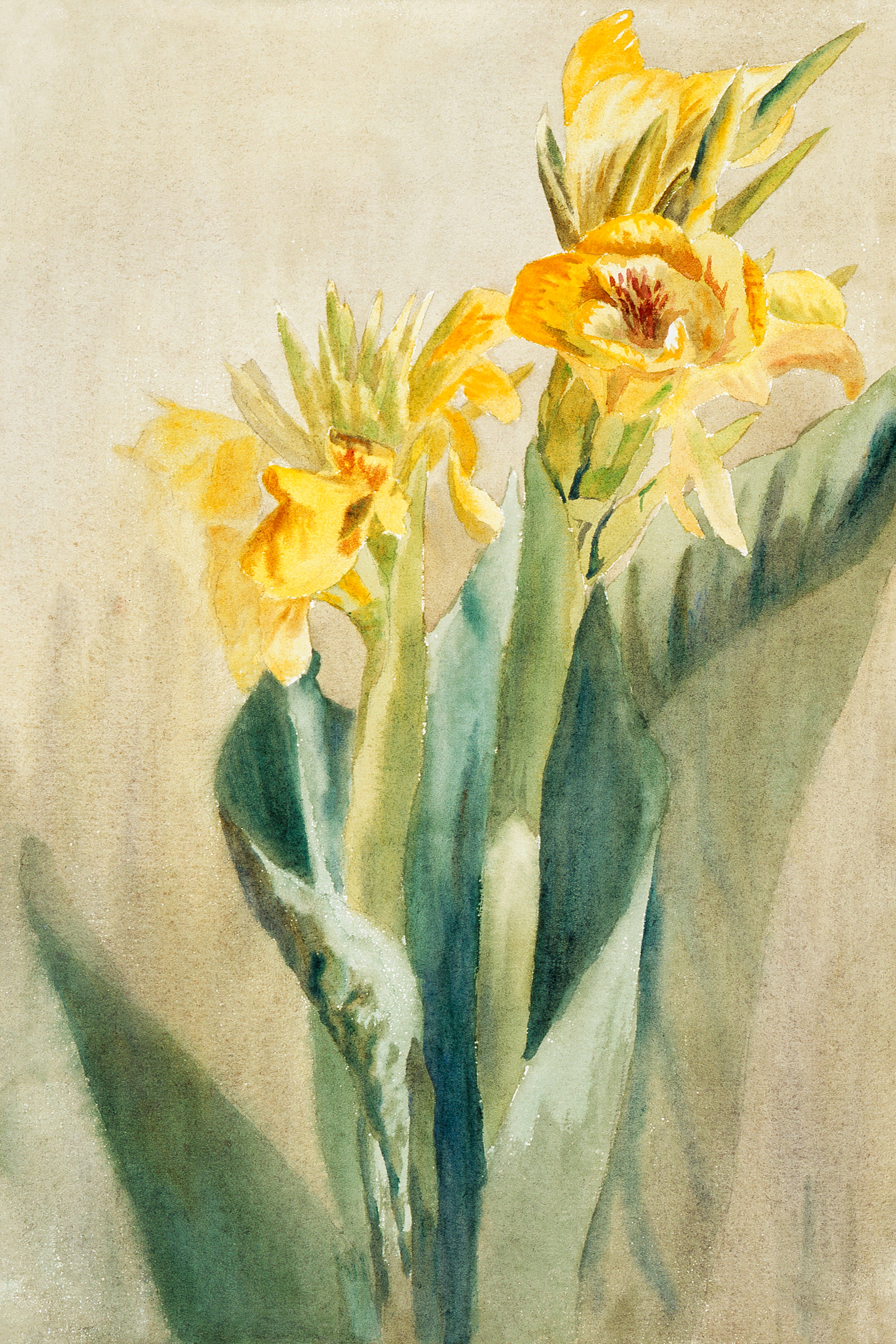 Tranh canvas hoa vàng