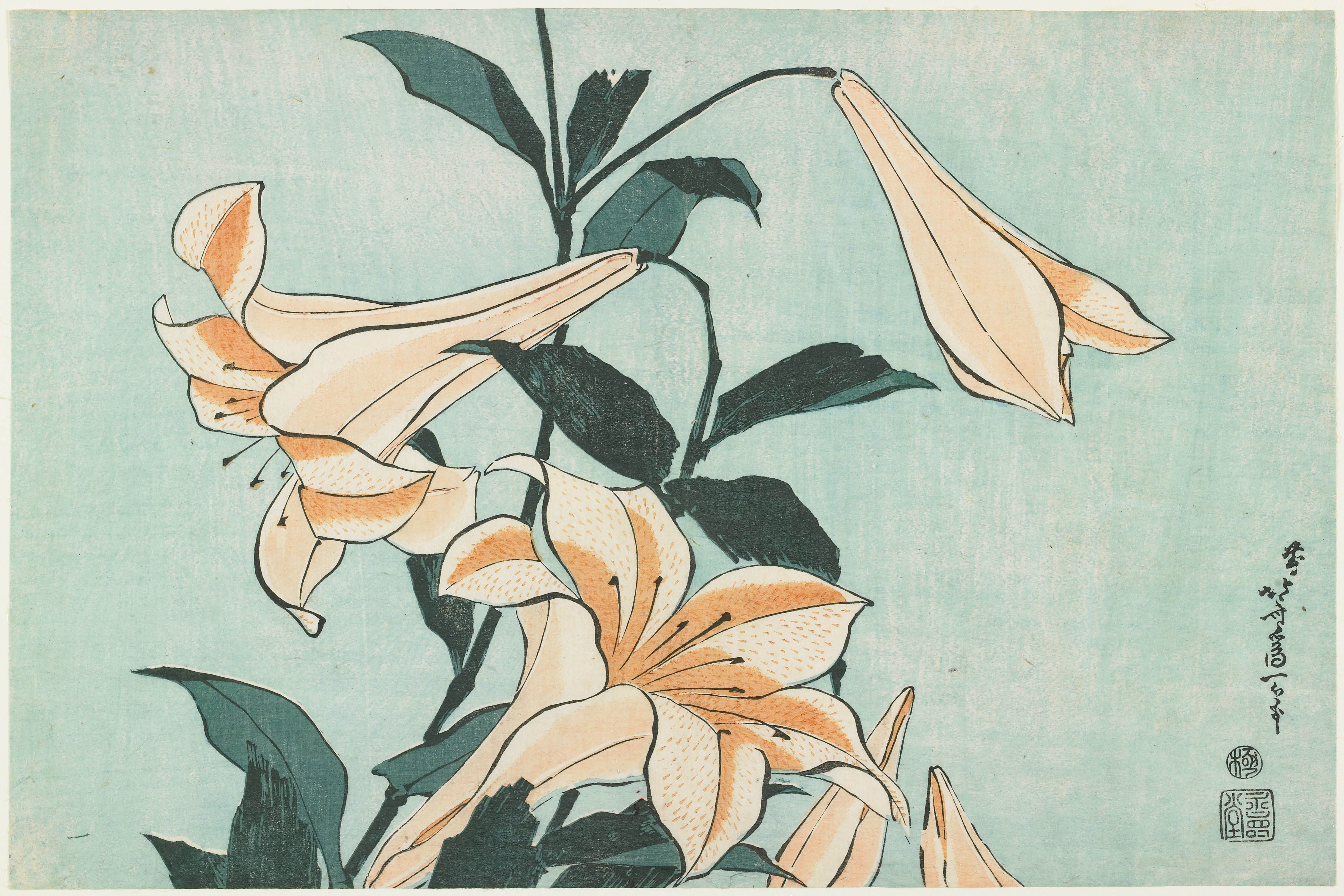 Tranh Canvas Hoa Lilies