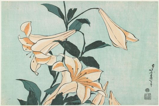 Tranh Canvas Hoa Lilies