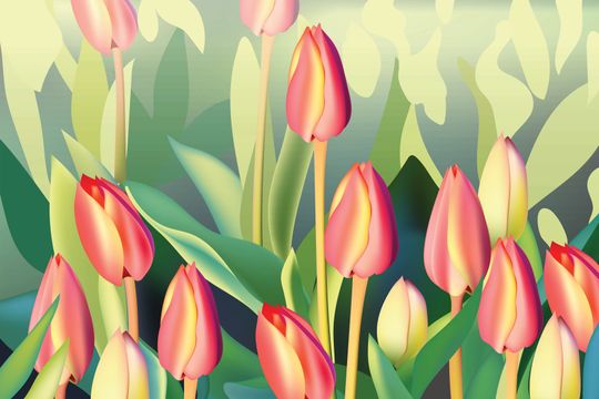 Tranh canvas hoa tulip trong vườn