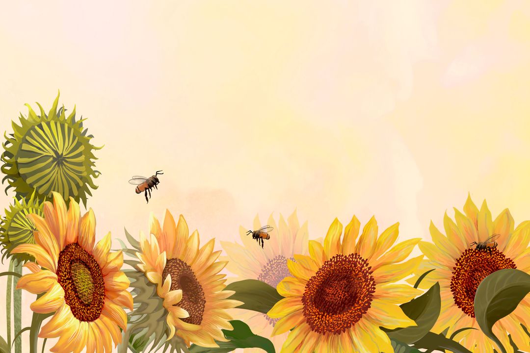 6040-hand-drawn-sunflower-yellow-background.jpg
