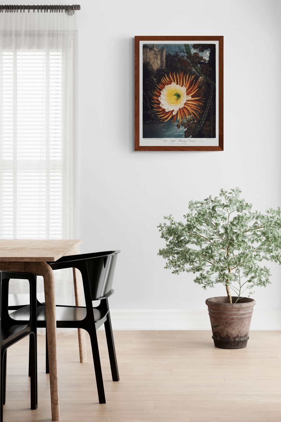 bright-dining-room-with-large-plant-1__06.jpg