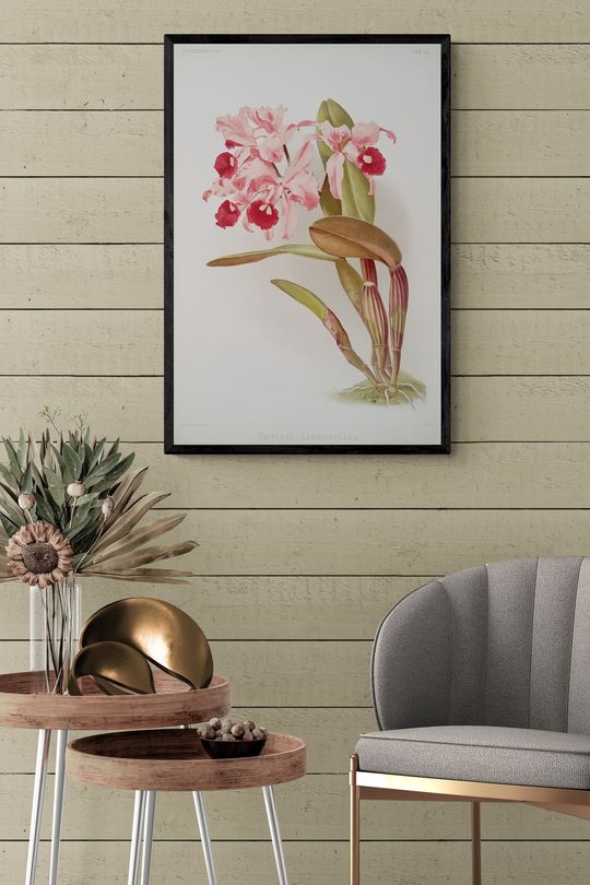 Tranh Canvas Hoa Nhánh Lan Hồng