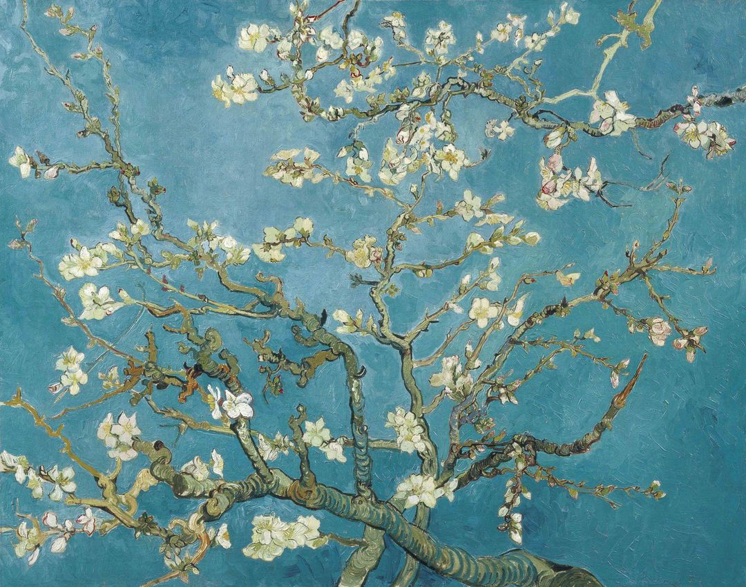 cv2404212l-almond-blossom-1890.jpg