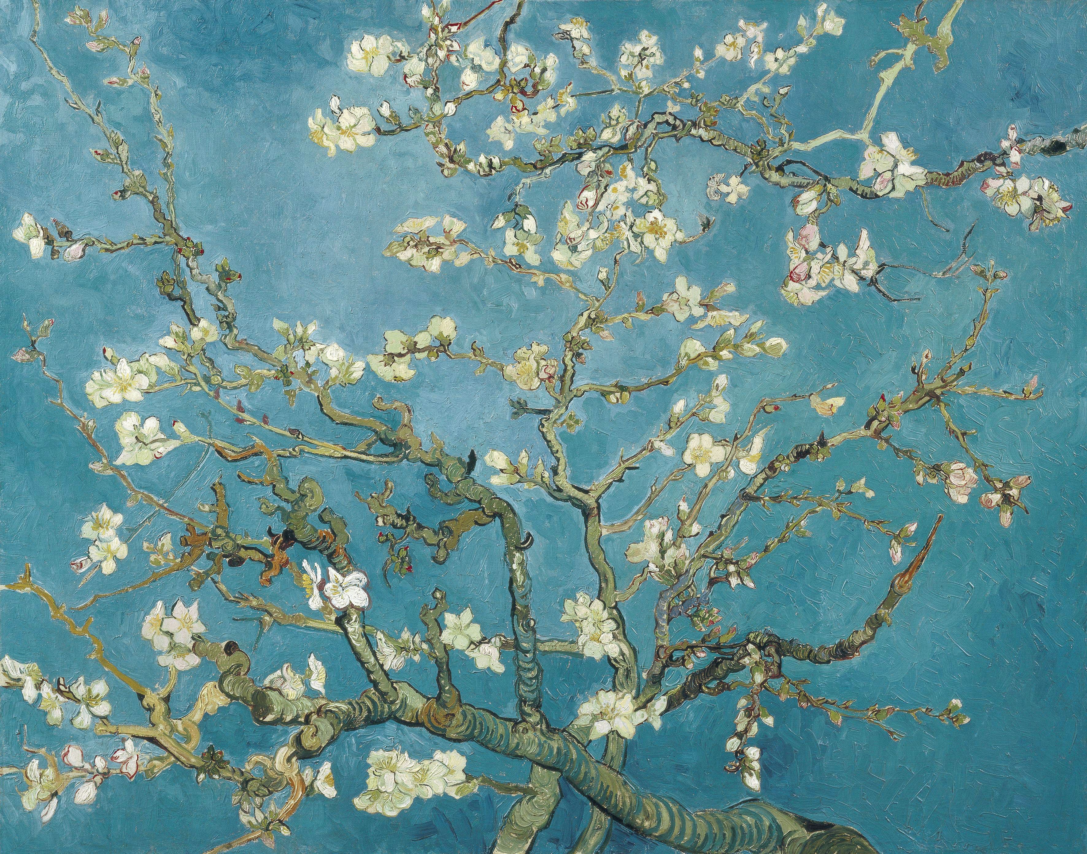 Hoa Almond Blossom