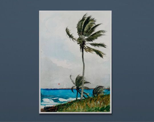 Tranh canvas Palm Tree, Nassau (1898) by Winslow Homer