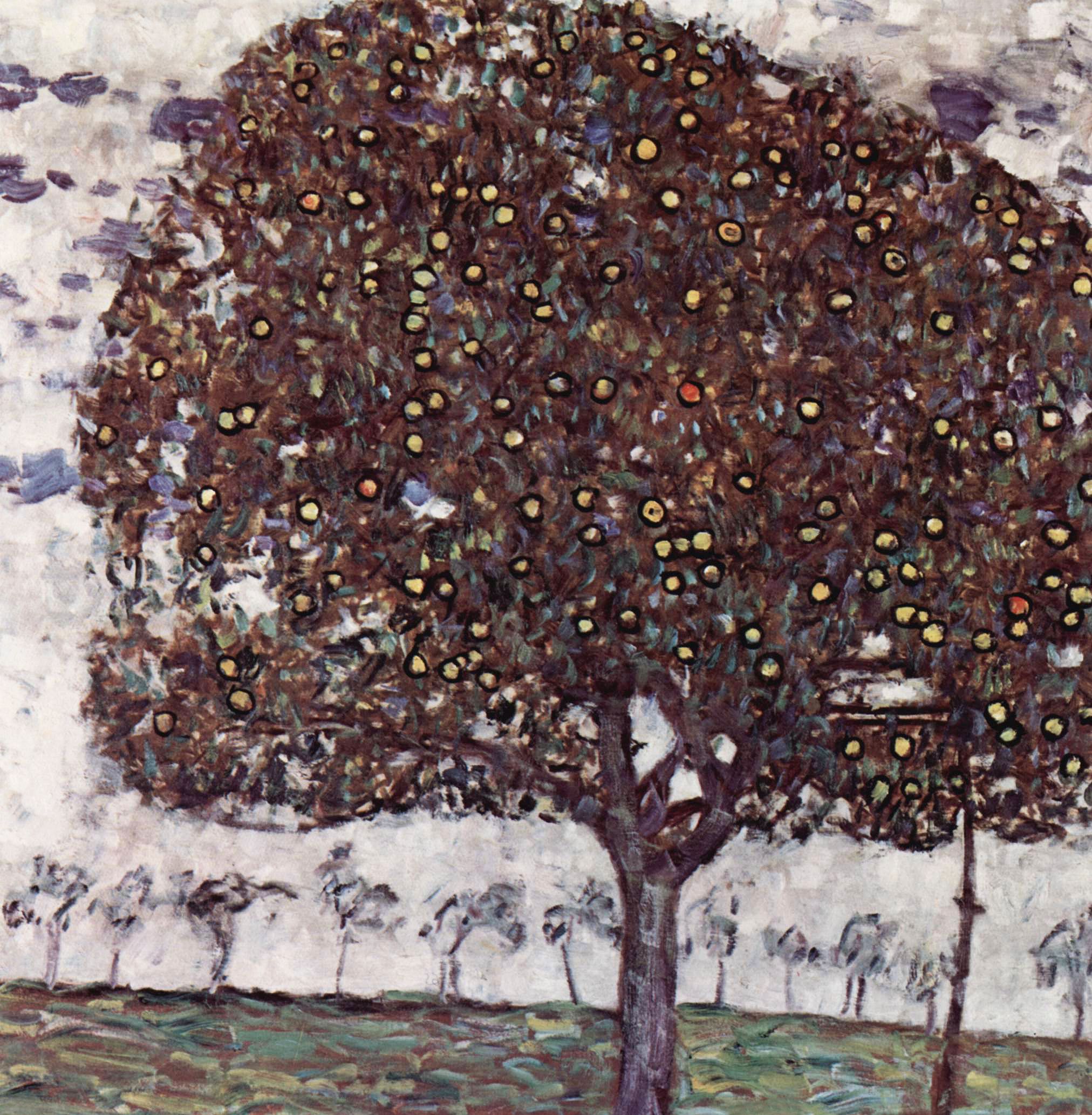 Tranh Canvas Der Apfelbaum