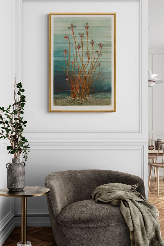 Tranh canvas thiên nhiên rong biển
