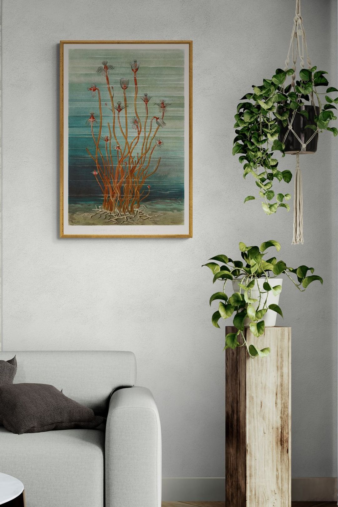 living-room-with-sofa-and-pot-plants__04.jpg