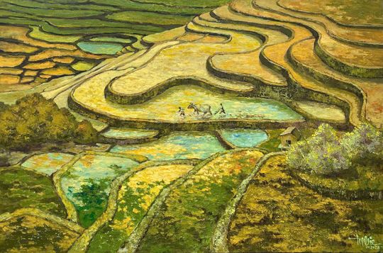 nắng vàng tây bắc 2