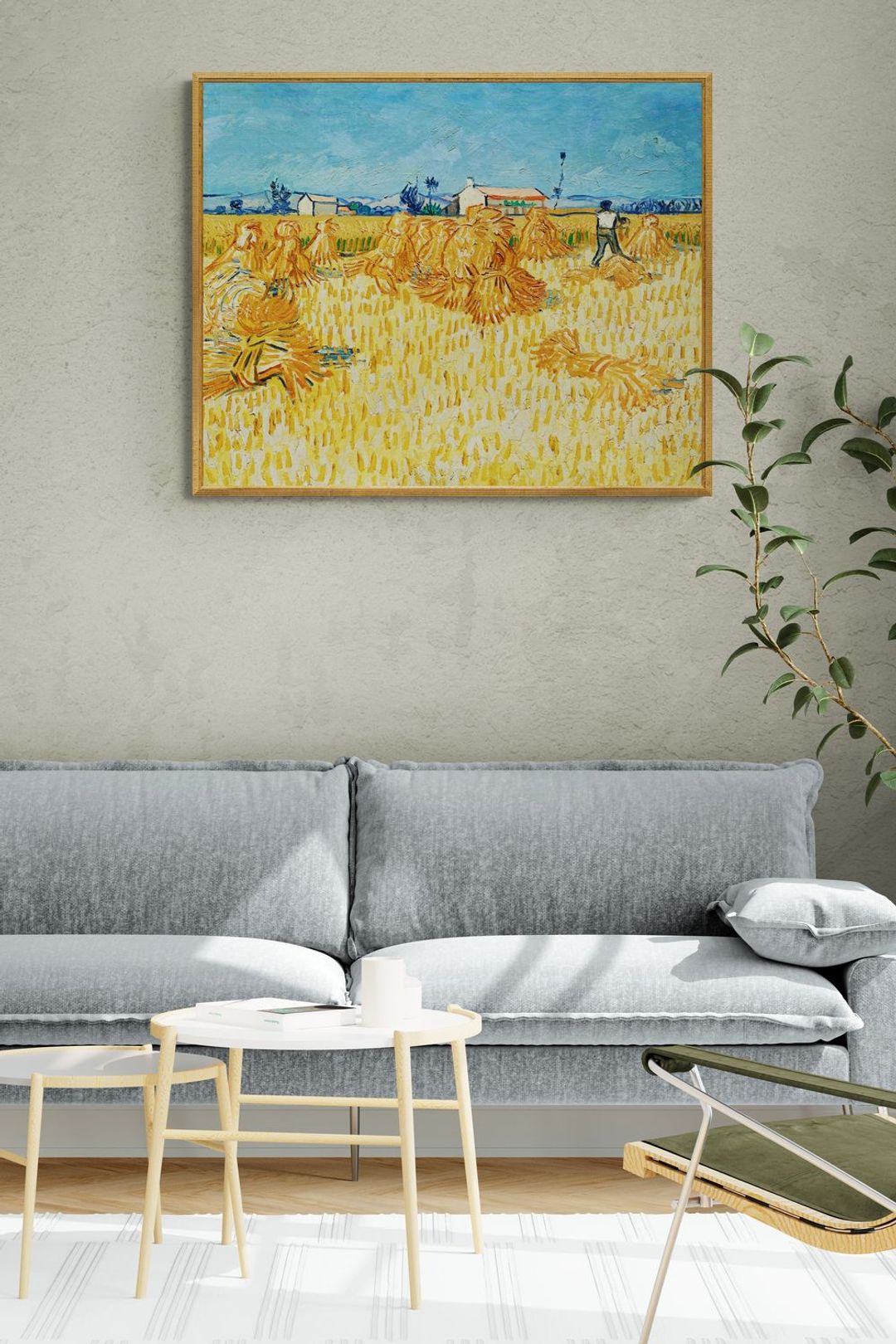 sunlit-living-room-with-large-plant__08.jpg