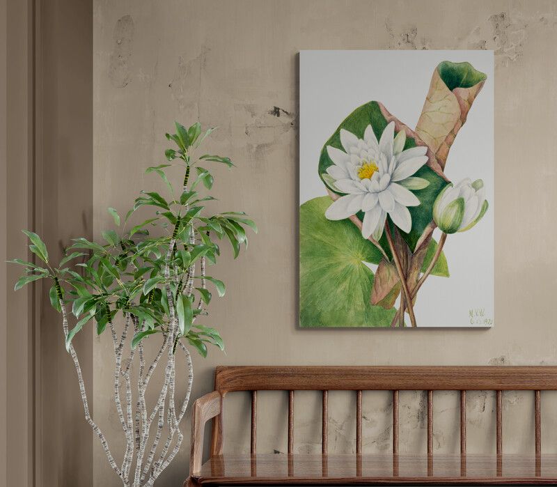 Tranh canvas Hương Sen Sớm Mai