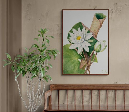 Tranh canvas Hương Sen Sớm Mai