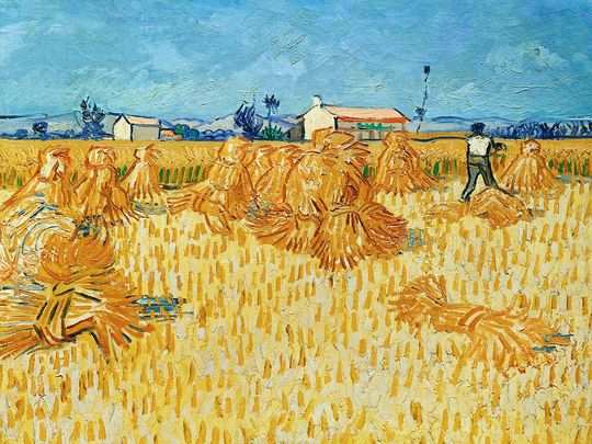 Tranh Canvas Phong Cảnh Ernte in der Provence