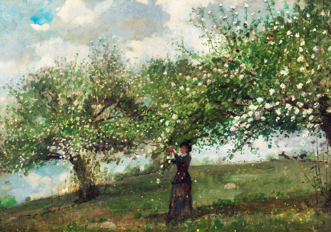 tranh-canvas-girl-picking-apple-blossoms-1879-by-winslow-homer.jpg