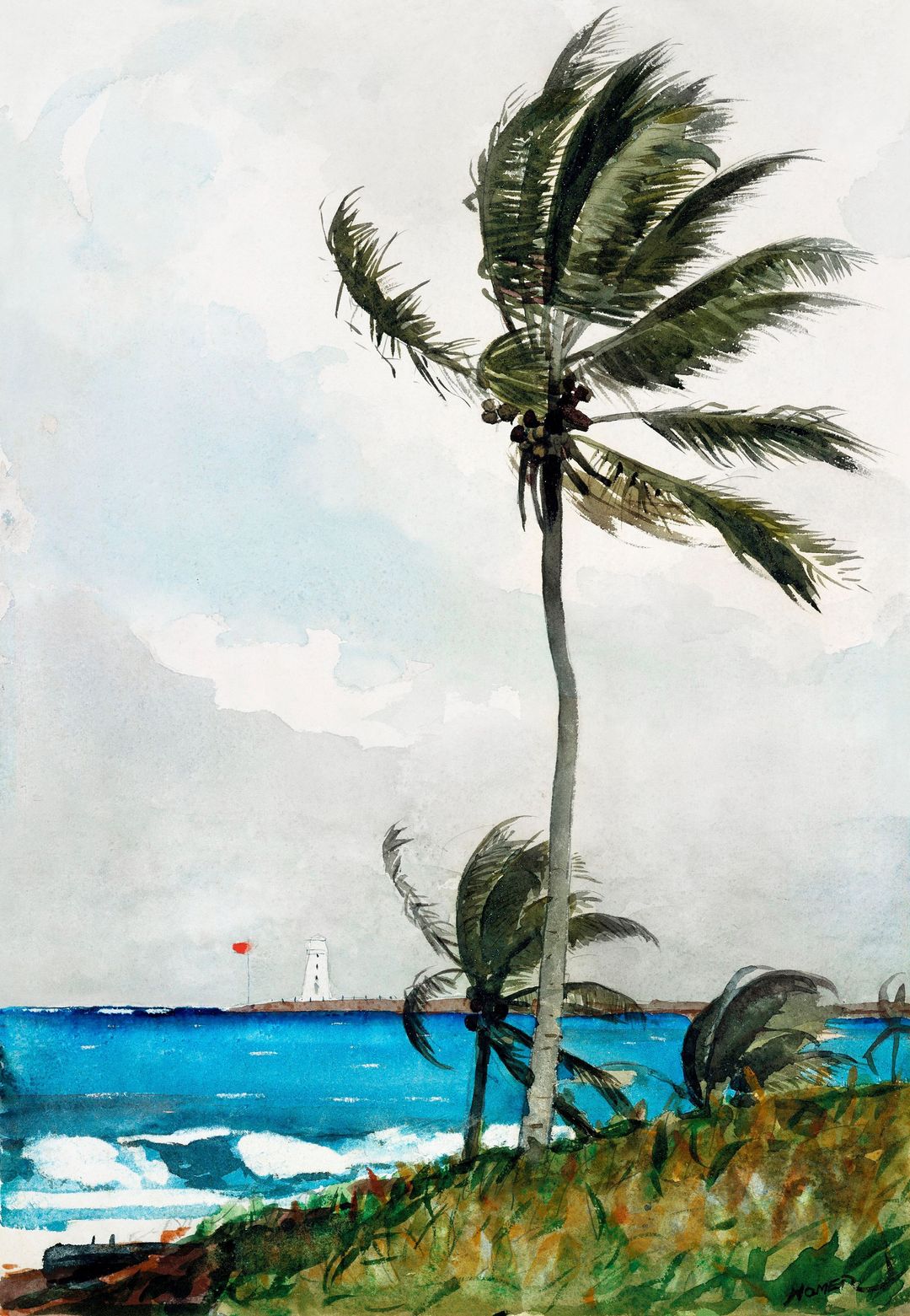 tranh-canvas-palm-tree-nassau-1898-by-winslow-homer.jpg